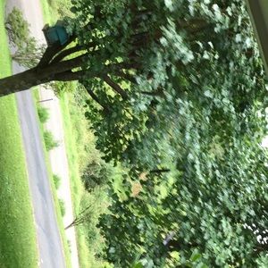 Meet your Posher, Nicholas